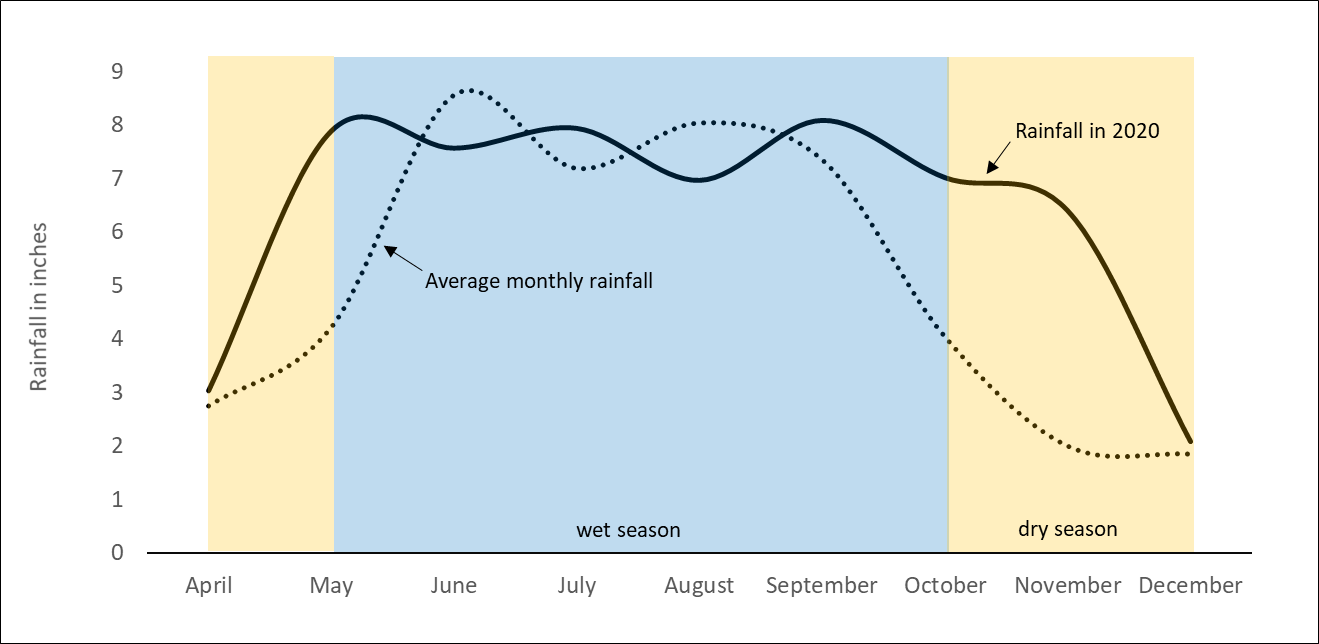 Monthly rainfall in the South Florida Water Management District from April to December of 2020. When the solid line rises above the dashed line, the District received more rainfall than average and vice-versa. The rainy end to the 2020 wet season and very rainy beginning of the 2020 dry season are plain to see. The District covers the entire Everglades from its source at the Kissimmee River to its conclusion in Florida Bay and the Florida Keys. Rainfall data is from the South Florida Water Management District’s website: https://www.sfwmd.gov/weather-radar/rainfall- historical/monthly